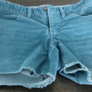 Carve design corduroy blue shorts